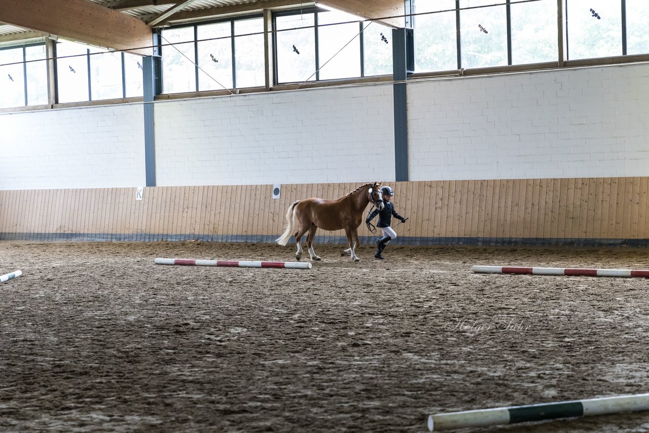 Bild 19 - Pony Akademie Turnier